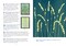 3-Color Botanical Cyanotype Kit: Beginner-Friendly Solar Printing Kit for DIY Nature Art